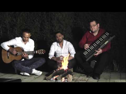 Ervin - Mo vilo na haljovela ® NEVO 2015 Official Video HD