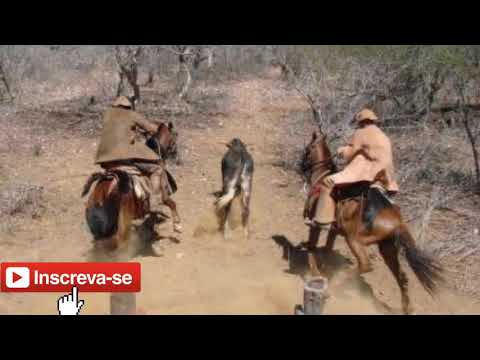 Toada cavalo passarinho ft:alon zoa