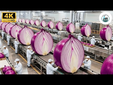 Inside the Largest US Factory: From Raw Onions to Premium Powder (Full Process)