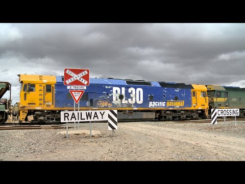 7731V Pacific National Grain Train At Railway Crossing (11/12/2021) - PoathTV Australian Railroads