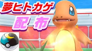 夢ヒトカゲを配布！！【ポケモン剣盾：ライブ】　#剣盾　#ライブ　#配布