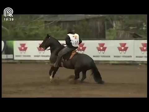 Classificatória Região Sul – 2° lugar fêmeas – Ocasião 734 de Nazareth (Prova: Bayard/Sarmento)