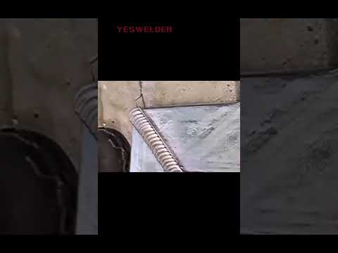 Weld Inmate Search