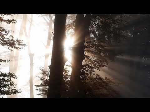 RELAXAR/RELAX -  MUSICA DE MEDITAÇÃO E RELAXAMENTO PARA ENTRAR EM ALPHA PROFUNDO