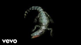 Holy Holy - The Aftergone (Visualiser) ft. CLEWS