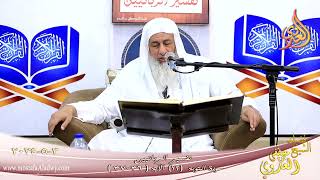 تفسير سورة التوبة ( 12 ) الآيات ( 36-37 ) الشيخ مصطفى العدوي تاريخ 3 5 2024