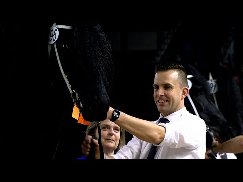 HK 2023 | Winnaar Rubriek 3 | Jurre 495