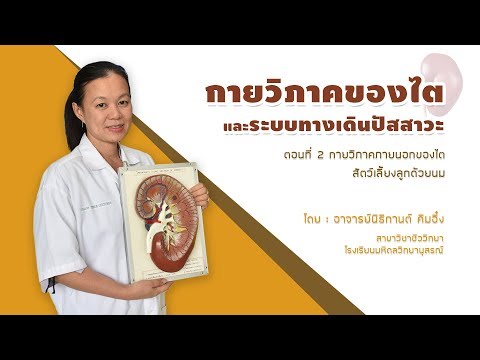 ขยายขนาดหน้าอกโดยไม่ต้องผ่าตัดและยาเสพติด หน้าอกหย่อนคล้อยน้อยมาก