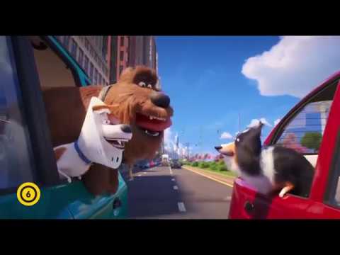 A kis kedvencek titkos élete 2 - új, magyar nyelvű előzetes