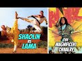 Wu Tang Collection Shaolin Vs Lama Magnificent Chivalry