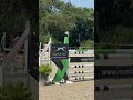 Jument 9 ans pour faire jusqu&rsquo;&agrave; pro 2