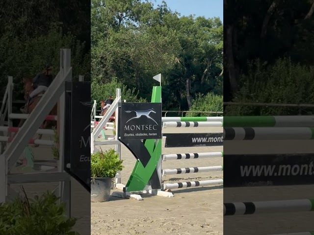 Jument 9 ans pour faire jusqu&rsquo;&agrave; pro 2