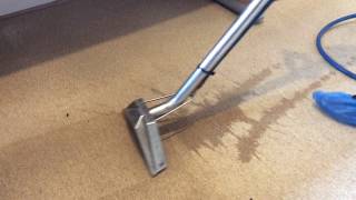 Album cover: Click here to see video of coffee stained being removed from carpet