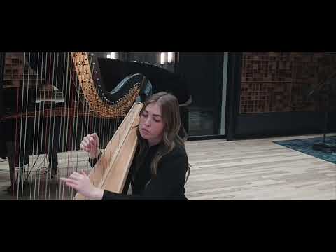 Promotional video thumbnail 4 for The Primo Strings