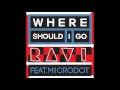 Ravi - Where Should I Go (Feat. Microdot)