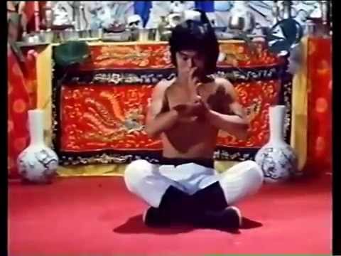 Shaolin against Lama fight pt 3