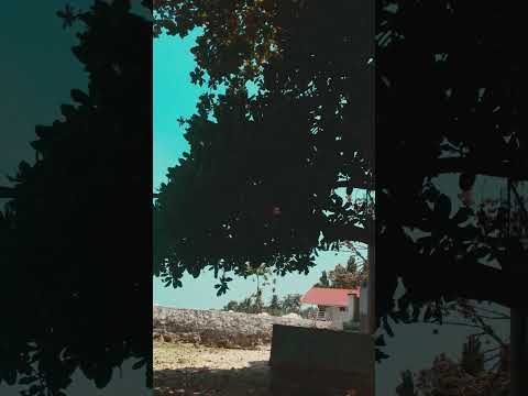 Mary Cris|BEACH VIBE #shortvideo #bisaya #shorts #marycrisshorts #shortvideos #beachvibes