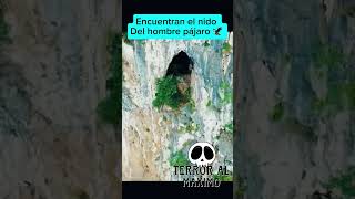 La cueva del hombre pájaro