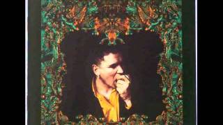Gavin Friday - Falling Off The Edge Of The World