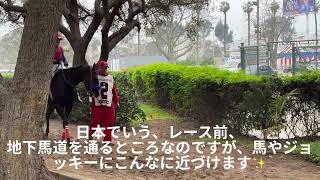 ペルー観光🇵🇪モンテリーコ競馬場は、子供たちも乗馬、遊具があって家族で楽しめます！