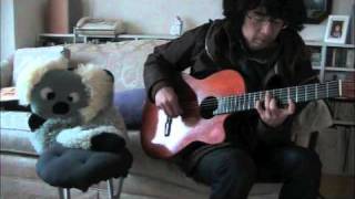 Eleven Small Roaches (Michael Hedges cover)