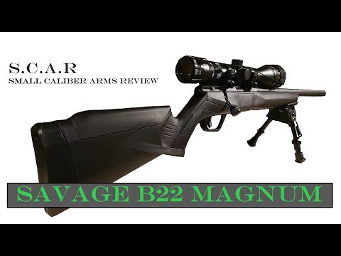 #SundayGunday: Savage Arms B22 FV
