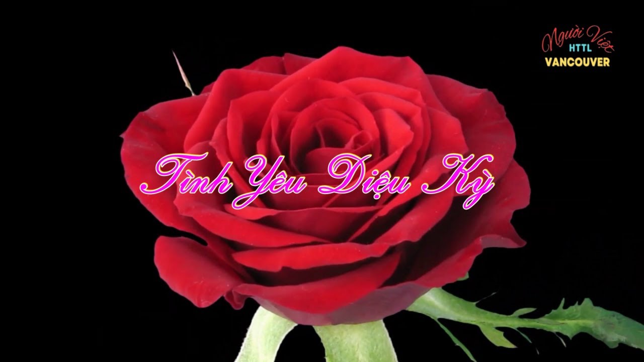 TÌNH YÊU DIỆU KỲ (Karaoke)