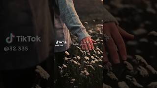 Download lagu Ya Man Salaita Bikulli Anbiya #lyrics #trending #shorts mp3