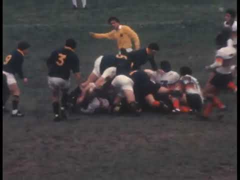 Sudamérica XV vs Sudáfrica 1980 Rugby SOUTH AFRICA TOUR