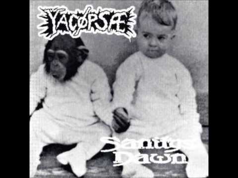 Yacøpsæ - Parasitenimplantat