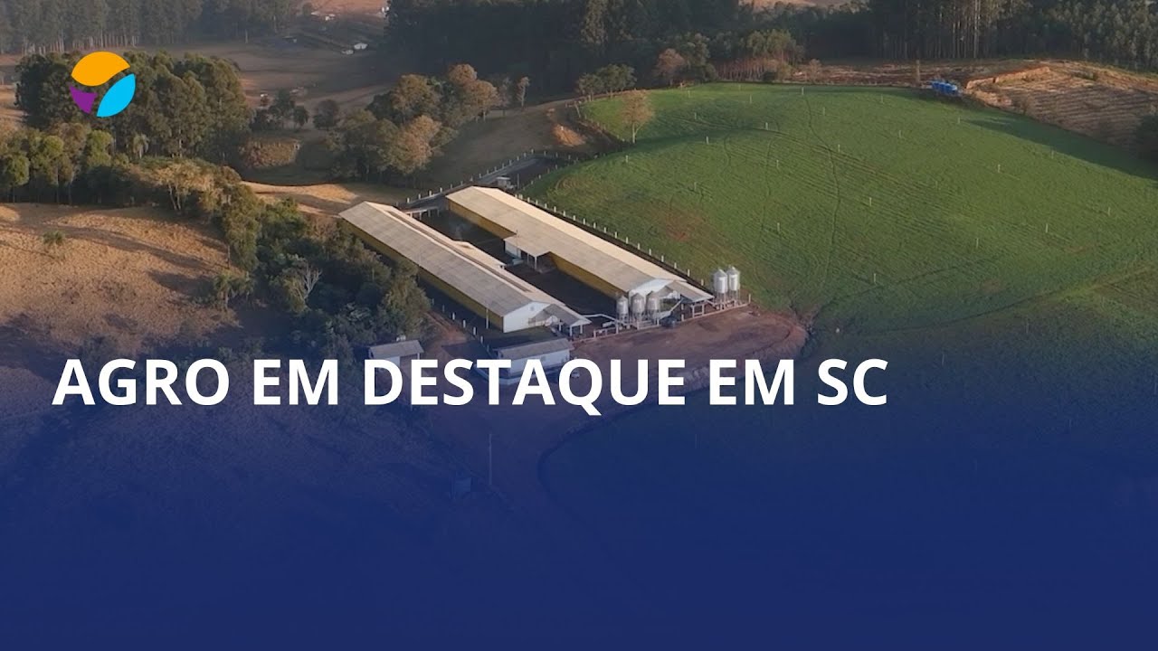 Santa Catarina continua em destaque no agronegócio brasileiro