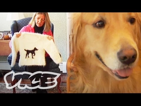 Making Dog Hair Sweaters