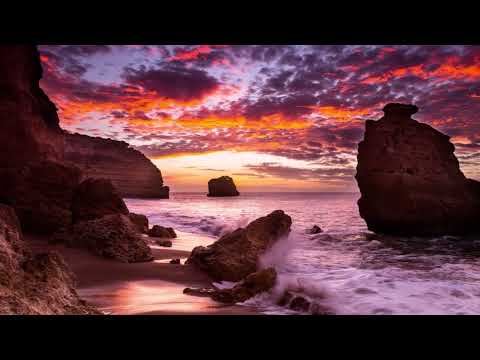 Hymn to the Sea (Amy Wallace).