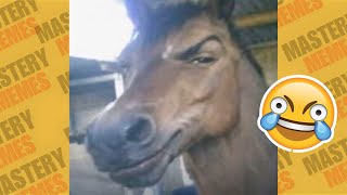 OS MELHORES MEMES DA INTERNET | TENTE NÃO RIR