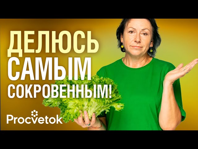 ОТВРАТИТЕЛЬНО ГОРЬКИЙ! Главное фиаско года, а также приятные открытия среди цветов и овощей