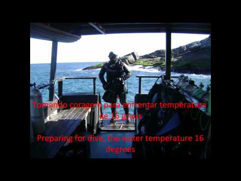 Diving on shipwreck Dona Paula (Surat castle) Brazil - Briga de casal F & K part 4