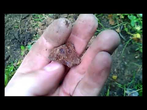 Первый коп с металлоискателем Smart Sensor AR944M