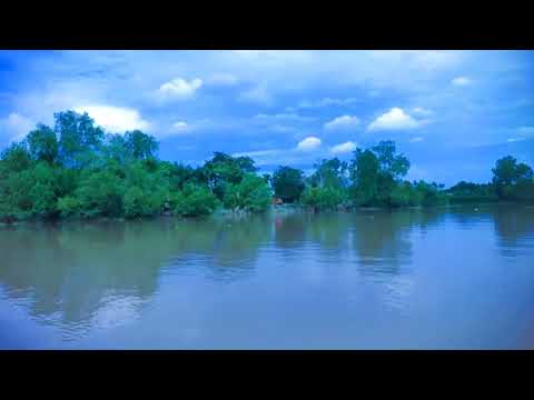 The charm of the beach 