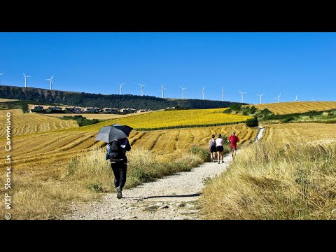WIP Storie in Cammino - Cammino di Santiago - francese - 2016 - TRAILER