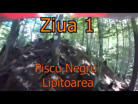 Piscu Negru Lipitoarea