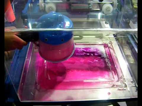 Confira mais um vídeo da Flockcolor Confira mais um vídeo da Flockcolor
