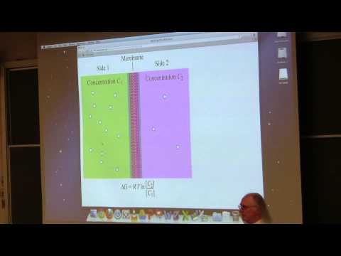 Kevin Ahern's BB 350 (Lipids & Membranes II) 2014 - #13