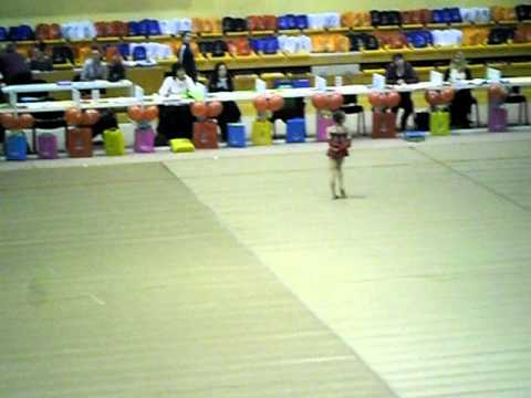 Tedi Jorjina-OLIMPIK CUP 02.03 - 04.03.2012 SARAJEVO