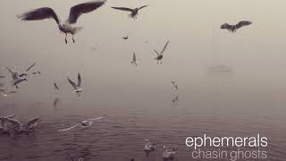 Music video thumbnail preview for Ephemerals - Well Done by Ephemerals