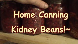 Canning Kidney Beans!