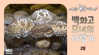 [나는농부다 293회 2부] 백화고 모녀의 사랑가