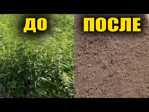 Избавилась от сорняков навсегда!