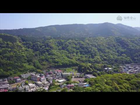箱根湯本の新緑