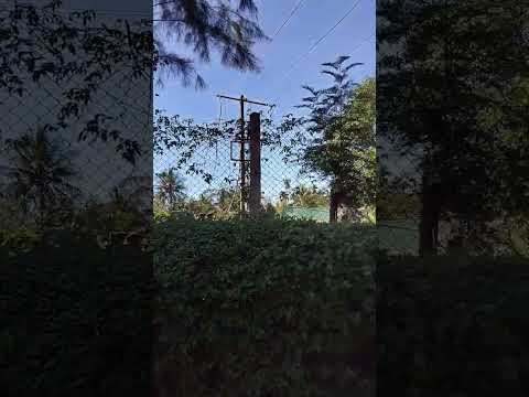 nature can. give a piece full mind💥✨✨