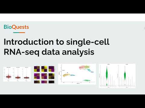 Analysis of single cell RNA-seq data - Video series